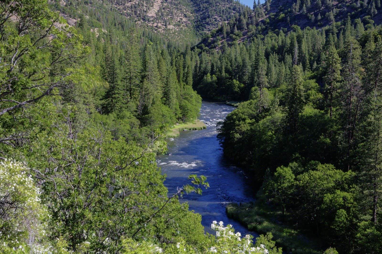 The Klamath River winding through a steep forested canyon of pine and oak under summer sun